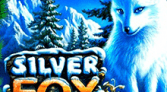 Silver Fox